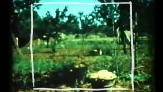 Mark Barrott 'Formentera Headspace Blues' (Sketches from an Island)