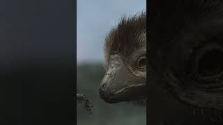 A single fossil in Siberia completely rewrites the history of dinosaurs