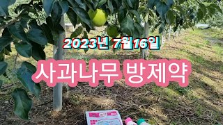 2023년7월16일 사과나무 방제약