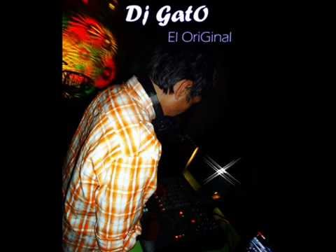 DJ GATO jordy - Mix Fiesta 2012.wmv