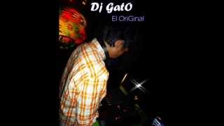 DJ GATO jordy - Mix Fiesta 2012.wmv