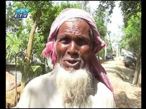 ঘুরে দাঁড়ানোর চেষ্টায় বন্যায় ক্ষতিগ্রস্থ গাইবান্ধা জেলার কৃষকেরা