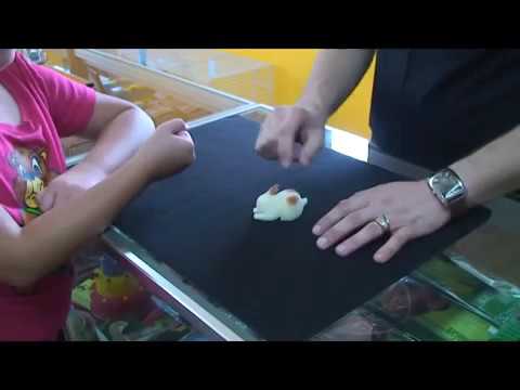 3D Multiplying Sponge Rabbits