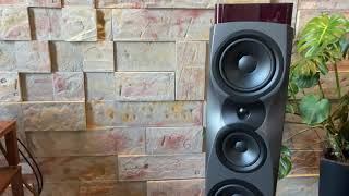 Video thumbnail for Dynaudio Confidence 30 + Unison Research S6 by Audiophile66