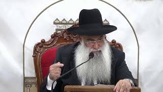 🕊️ הרב ישי פרי שליט״א |השיעור השבועי | פרשת במדבר תשפ״ו