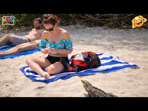 Try Not To Laugh 🤩 Top 100 Funniest Videos Ever 😏 | Funny Videos Compilation 2026 #54