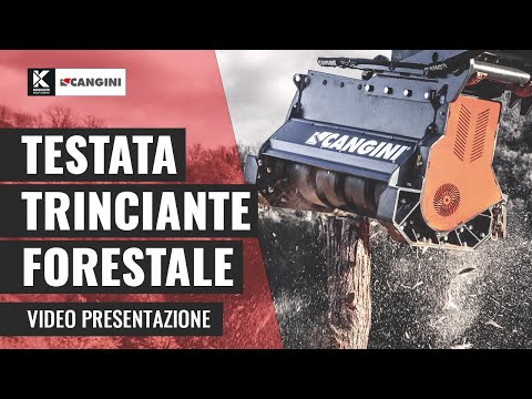 Testata Trinciante Forestale Force One | Cangini Benne