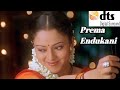 Prema Endukani Full HD Video Song From Ninne Premistha With 5 1 Surround Sound Audio