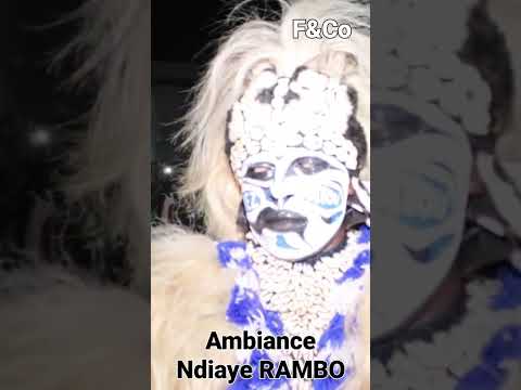 Ambiance Simb Faux Lion Ndiaye RAMBO