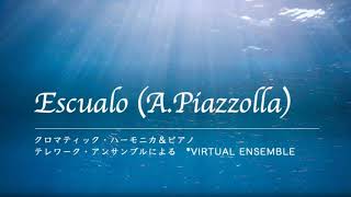 Download lagu Escualo(Piazzolla)リモート・アンサンブル Chromatic Harmonica&Piano 比嘉祥人 mp3 Download lagu Escualo(Piazzolla)リモート・アンサンブル Chromatic Harmonica&Piano 比嘉祥人 mp3
