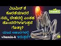 Vitamin K Rich Foods In Kannada Vitamin K Fruits And Vegetables List In Kannada