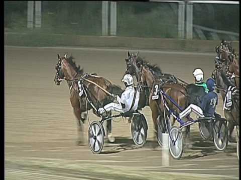 Trotto 01/07/2017 - 9ª corsa - G.P. Tino Triossi