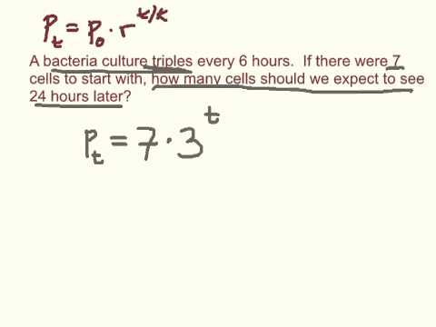 Finding an Exponential Model
