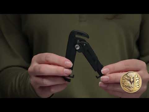 ASP Snapshot - Scarab Cutter