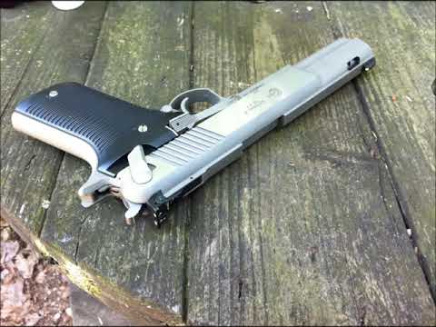 AMT AutoMag V-- .50 Action Express (.50AE)