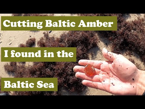 Cutting And Polishing Amber i found while amber hunting