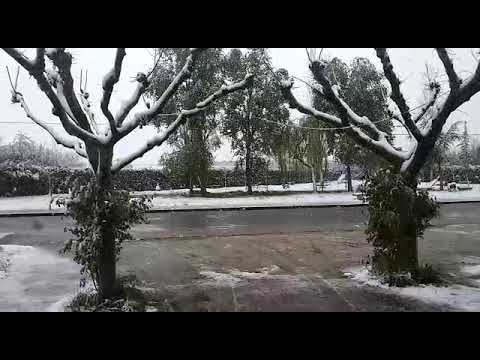 Nevada en Villar de Ciervo (31/3/2020)