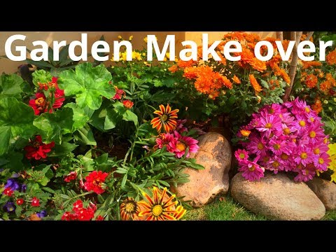 Garden make over || Balcony/Terrace Garden make over ideas || Backyard Gardening Video