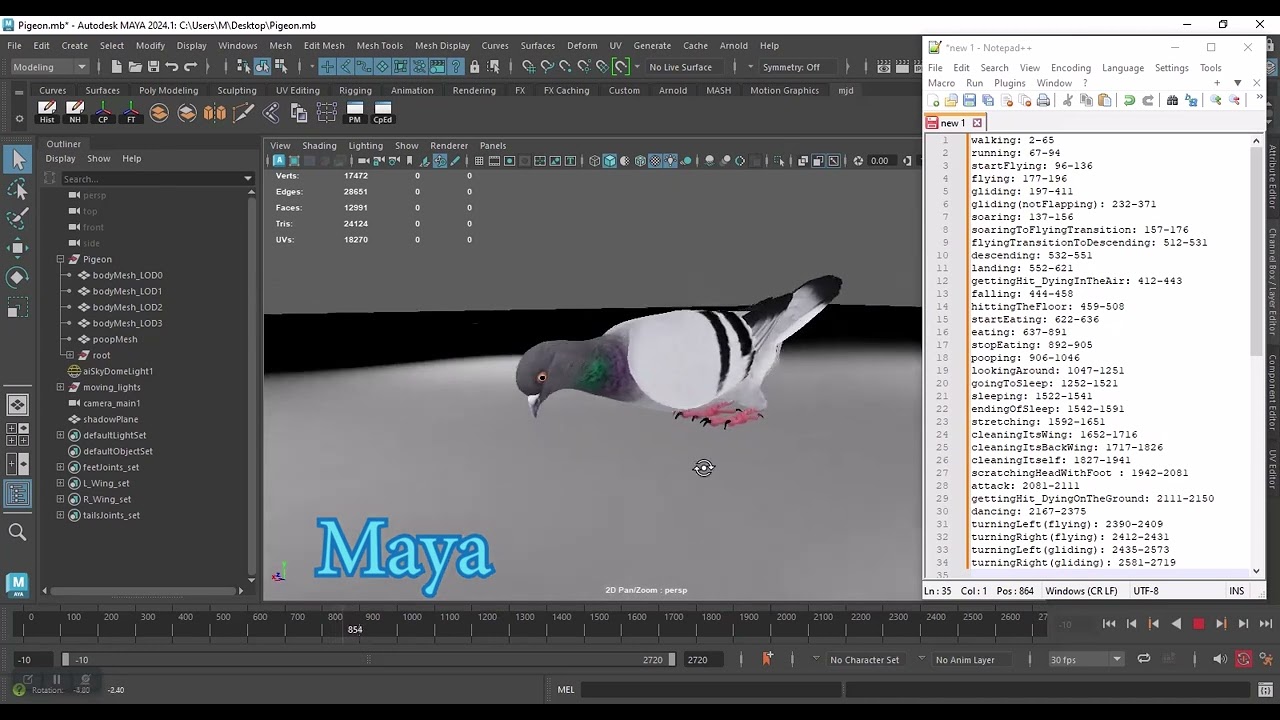 Piccione di roccia animato realistico Modello 3D