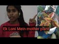 Ek Loni Mein Cutting Lagane Ka Process