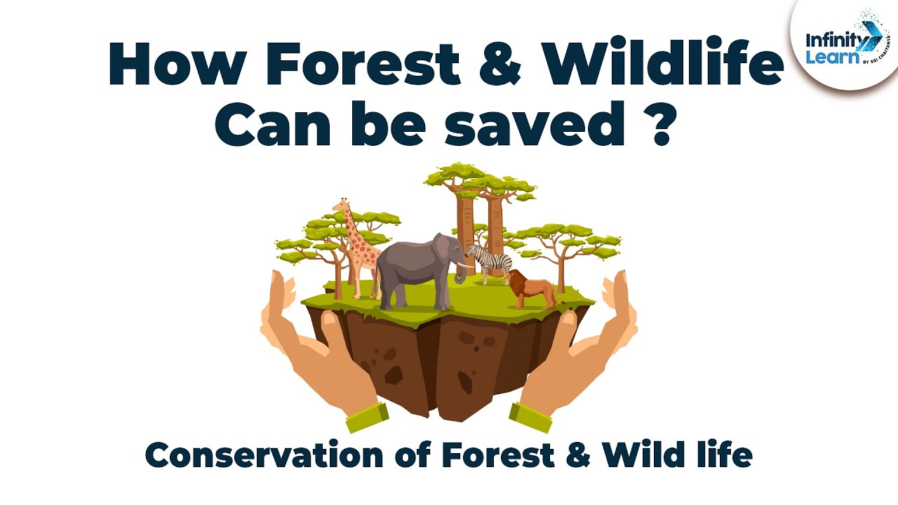 Conservation of Forest & Wild life | Grade 8 || Don't Memorise