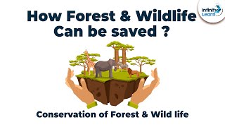 Conservation of Forest & Wild life | Grade 8 || Don't Memorise