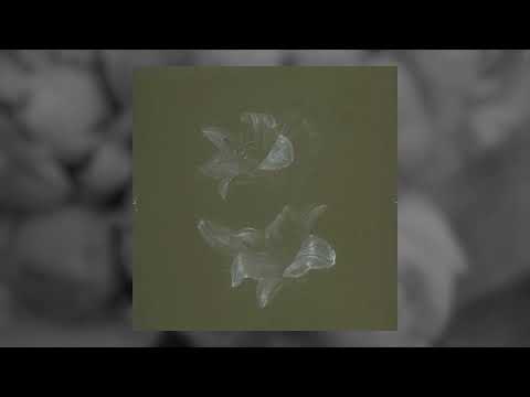 Tenielle Neda - Lifetime. Feat. John Van Deusen - Topic (Official Audio)