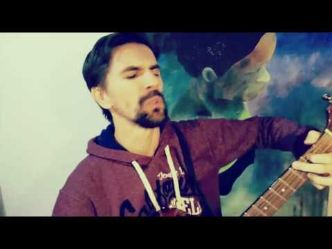 Loba da Estepe - Blindagem