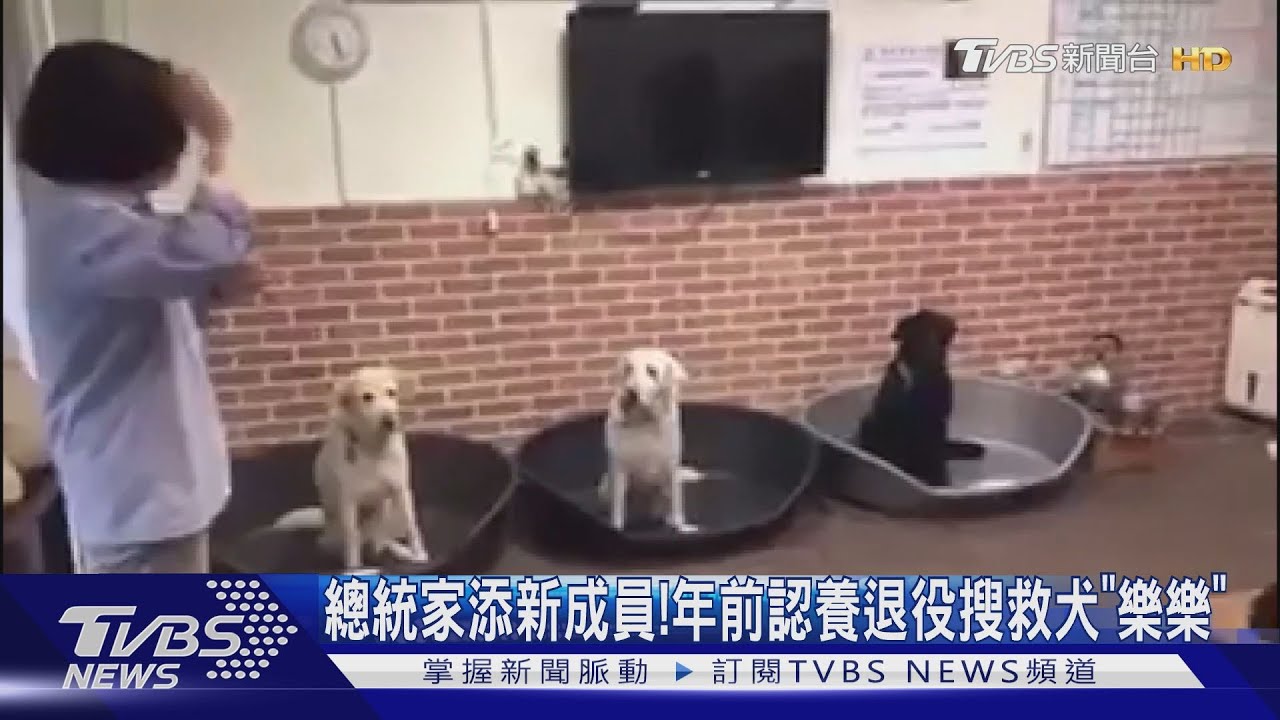 總統家添新成員! 年前認養退役搜救犬「樂樂」