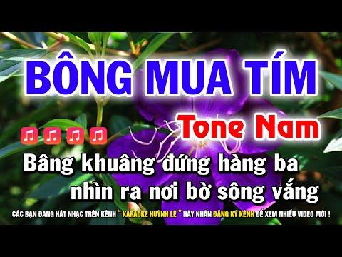 Karaoke Bông Mua Tím - Tone Nam Dm | Nhạc Sống Hay Dễ Hát