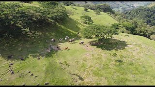 La Travesía, Paseos a Caballo