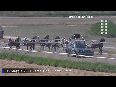 Trotto corse del 11 Maggio 2023