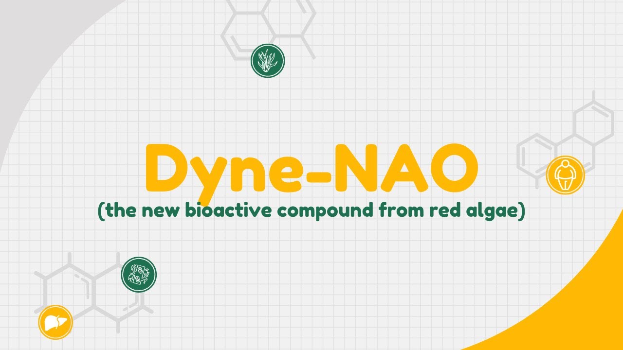 Dyne-NAO (the new bioactive compound from red algae) Eng Ver