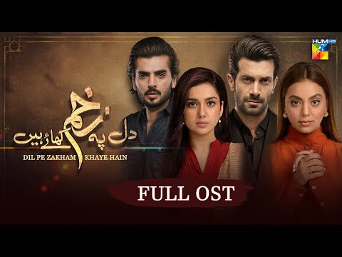 Dil Pe Zakham Khaye Hain [OST🎵] Singer: Nabeel Shaukat - HUM TV
