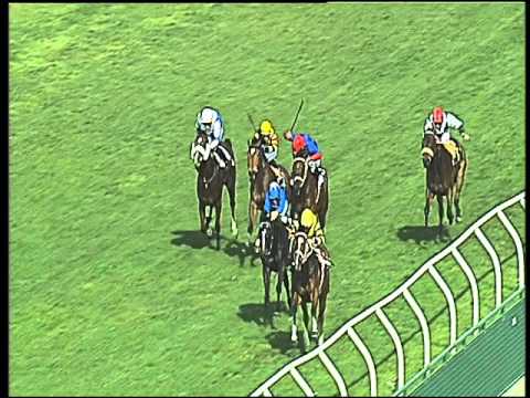 Galoppo 29/03/2016 - 3° corsa