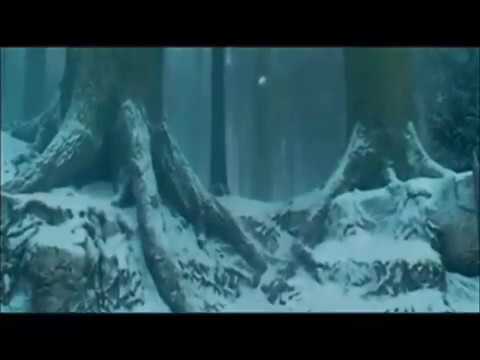 Draco's life - Behind Blue Eyes (TOOGA feat. Pit Bailay)