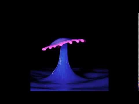 Magic Mushroom - by Dj Ronny