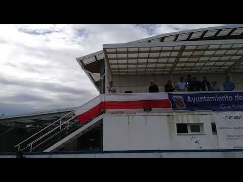 Peña la chicoria prebenjamin