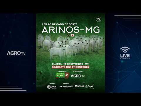 UNAÍ LEILÕES - ARINOS MG - 16/09/2026