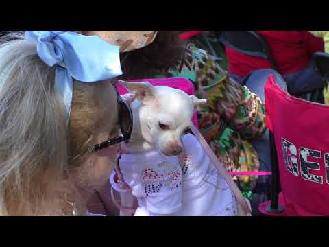 Riley Jenkins, "Baby, I Don't Care" - video by Susan Quinn Sand