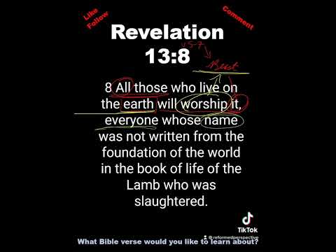 1 Minute Bible Study // Revelation 13:8
