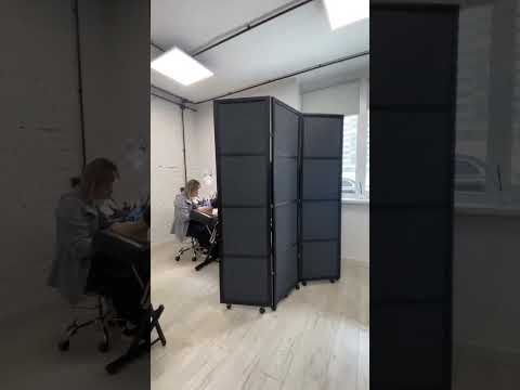 Ширма в темной раме - фото 4 - id-p1833962902