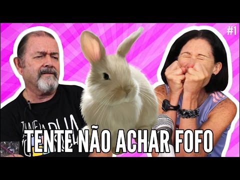 IDOSOS REAGEM AO DESAFIO TENTE NÃO ACHAR FOFO DE PÁSCOA