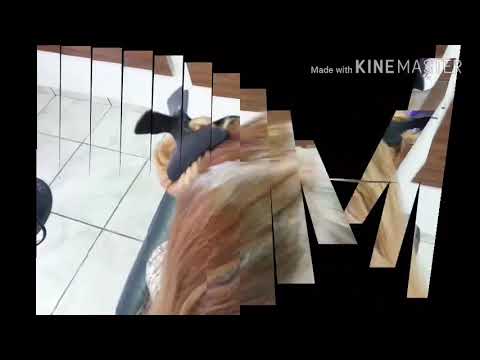 Cabelos Branco longos, coloridos e sadios...