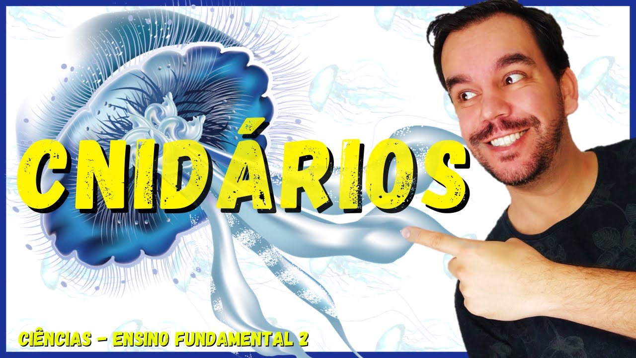 Cnidários - Zoologia | Ciências - Biologia | Aula completa com resumo - Reino Animalia 2022