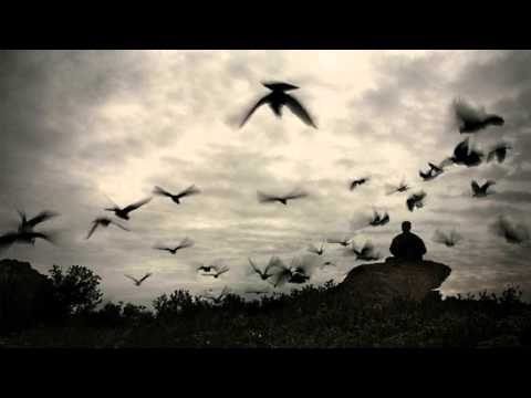 D-ther vs. Foose - Cultivation (Original Mix)