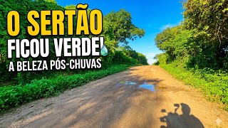 Nem parece ser Nordeste Brasileiro depois que chega a chuva 