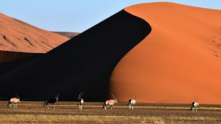 NAMIBIA- close encounter with the amazing cheetah, desert, sea & wildlife. SO UNIQUE!