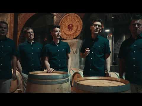 Klapa Semikantá- Novi strahovi (COVER)