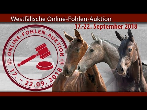 2. Westfälische Online-Fohlen-Auktion, 17. - 23. September 2018